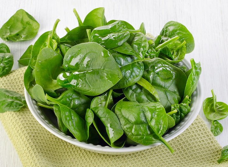 Виды зелени для салатов фото с названиями