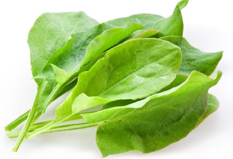 Виды салатов