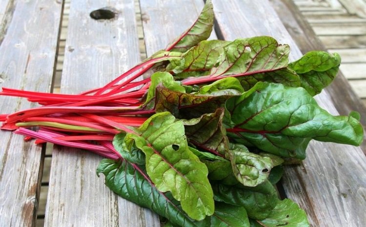 Виды салатов