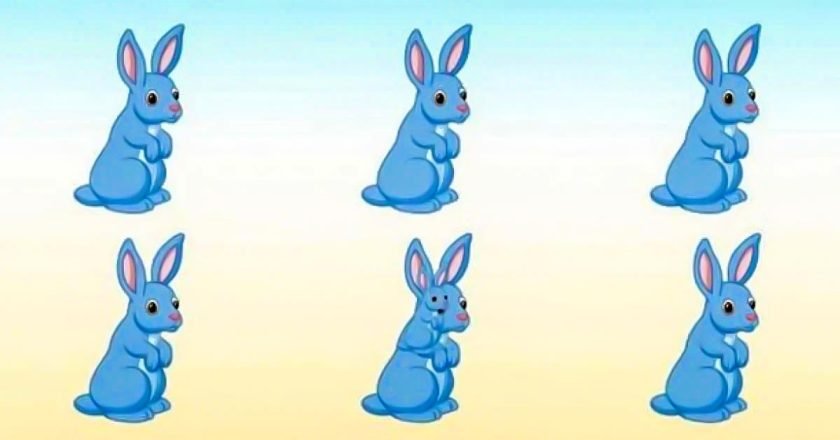 визуальная головоломка