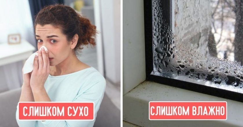 Чем опасна неправильная влажность воздуха в доме