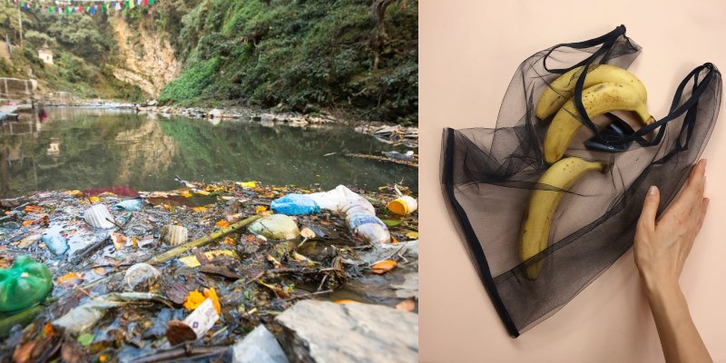 урожайность вишни