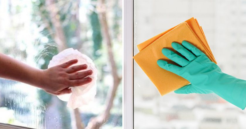 Вред бумажных полотенец