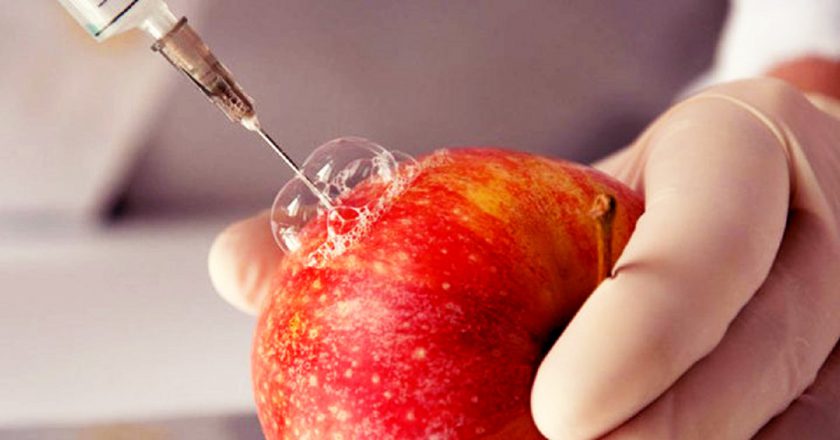 вредная еда