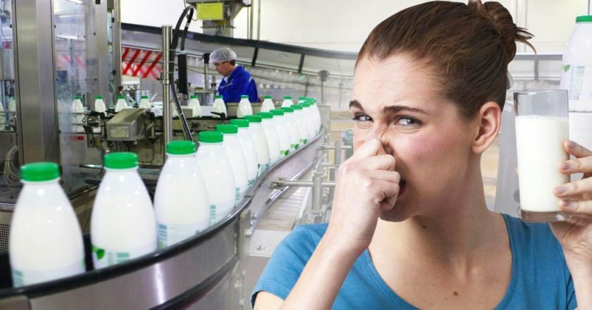 вред молока