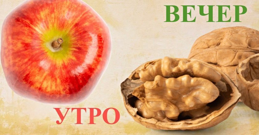 время употребления продуктов