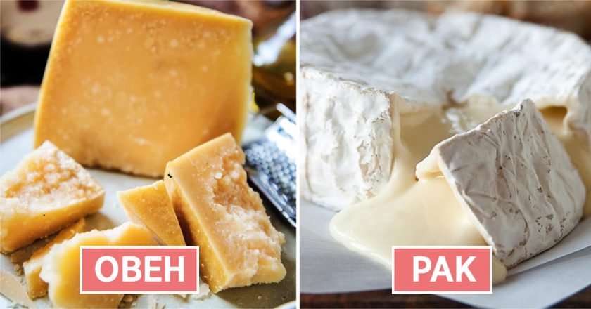 какой ты сыр