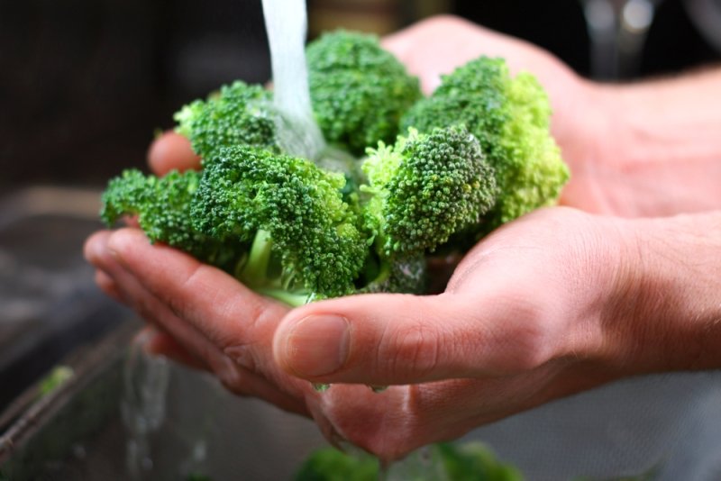 rast brokolice