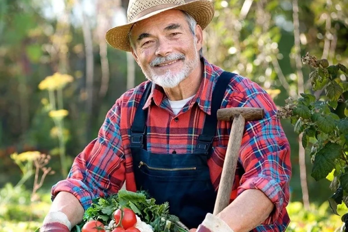 Джон джевонс как выращивать больше овощей читать - Сад и огород