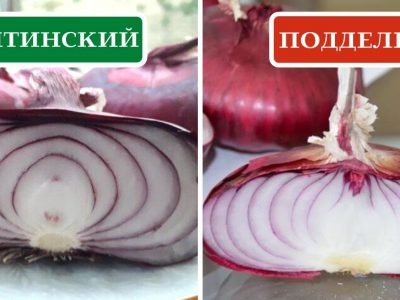 Ялтинский лук: чем красный овощ отличается от остальных сортов