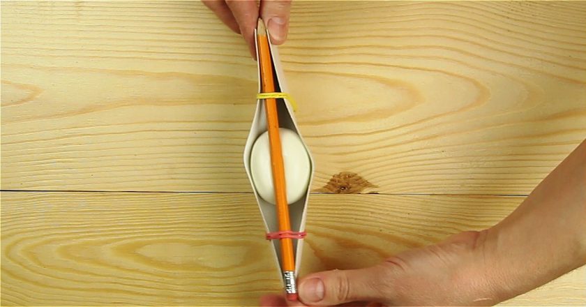 яйцо в картоне