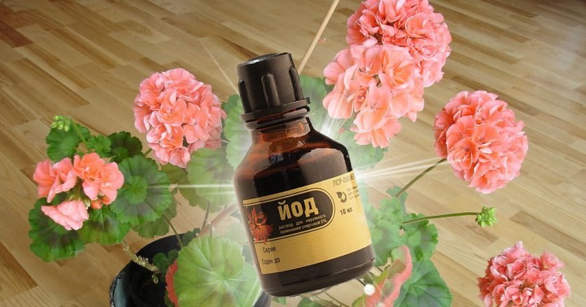 дезинфекция почвы