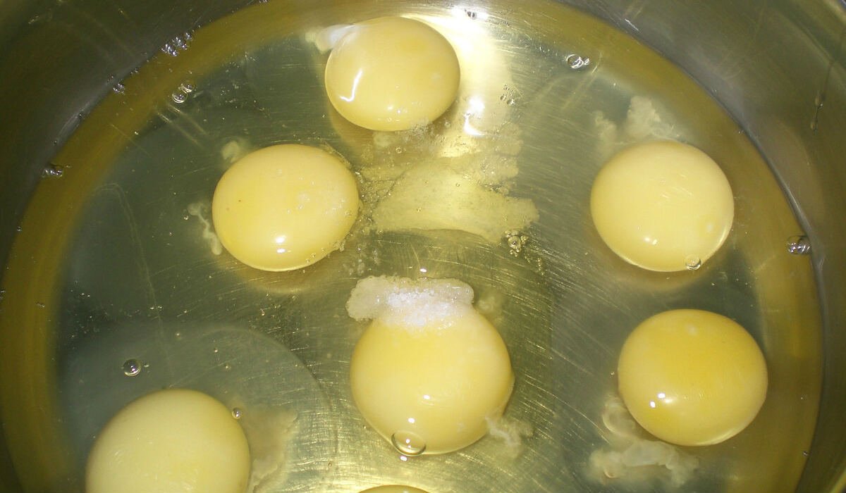 Можно ли мыть домашние яйца перед хранением. Сальмонелла в курином яйце. Мытье яиц.
