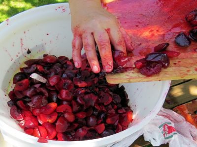 Заготовка продуктов