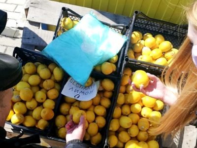 Заготовки из лимонов на зиму