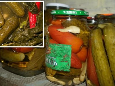 Прошлогодние закрутки на зиму: куда девать, чтобы не испортились