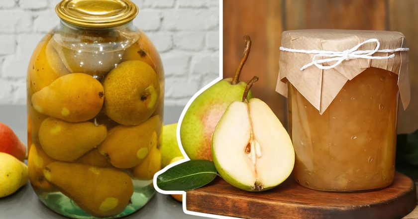 закрыть груши на зиму