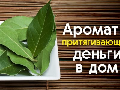 Запахи, притягивающие деньги в ваш дом
