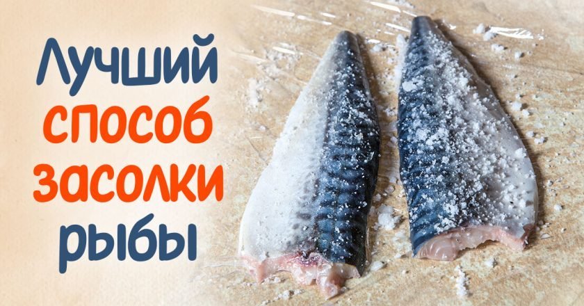 Как засолить рыбу в домашних условиях засолить рыбу в домашних условиях