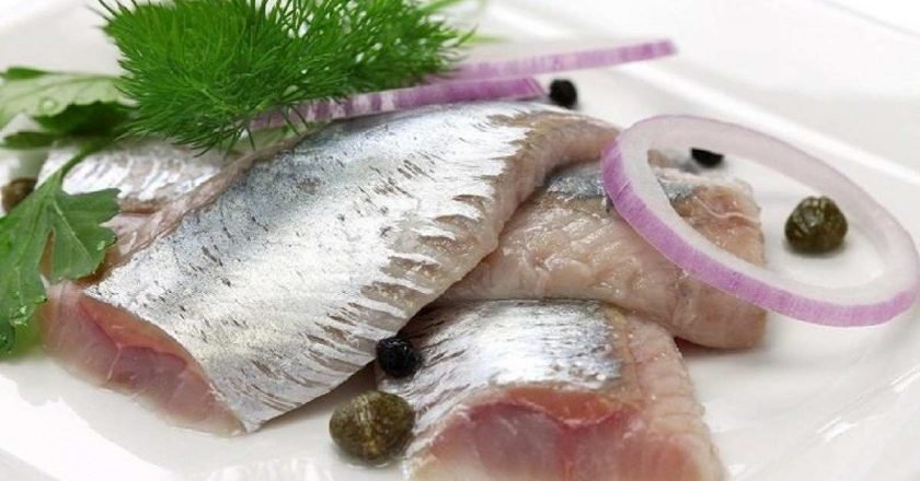 сельдь быстрой засолки
