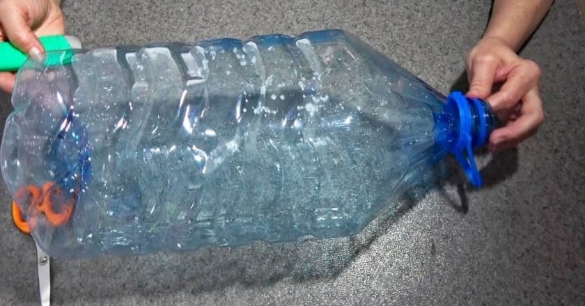 Зелень в бутылке — лучший способ сохранить свежесть зелень в бутылке