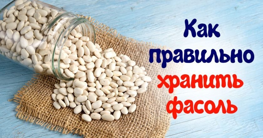 жучки в фасоли