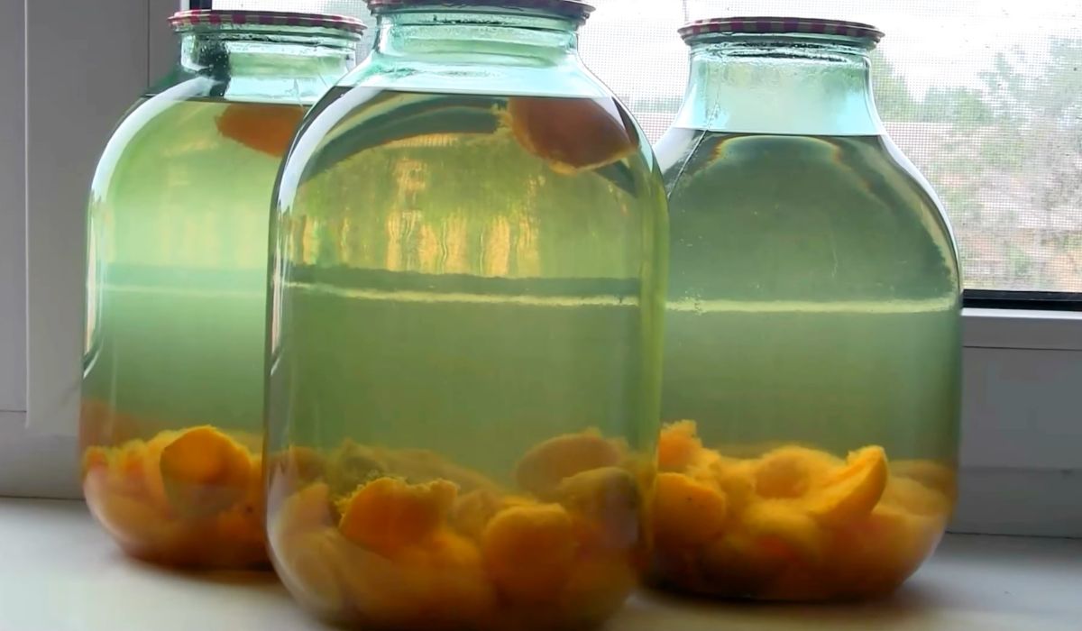 компот из абрикосов