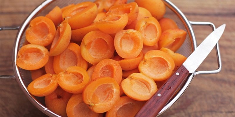 абрикосы домашние