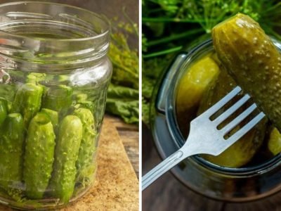 Болгарские огурцы