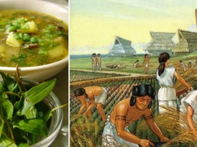 Трипольский борщ без картофеля