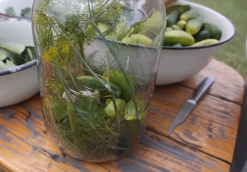 заготовка огурцов
