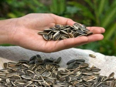 Быстрый пирог к чаю