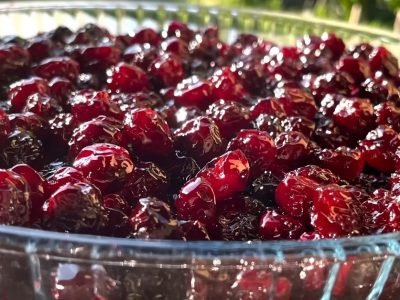 Цукаты из вишни в домашних условиях без сушки