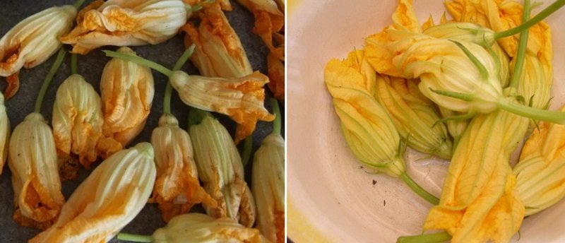 цветы кабачков рецепт