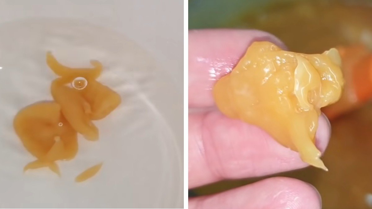  подчеревок с начинкой 