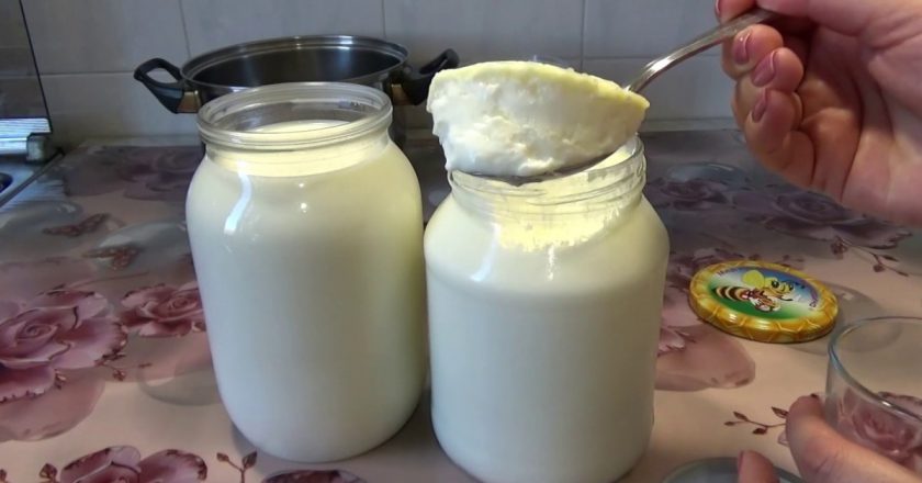 Как приготовить мацони в домашних условиях из молока и сметаны с фото пошагово