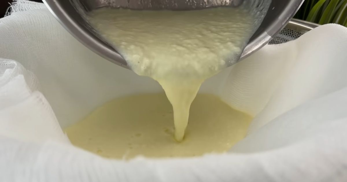 как сделать сыр из молока