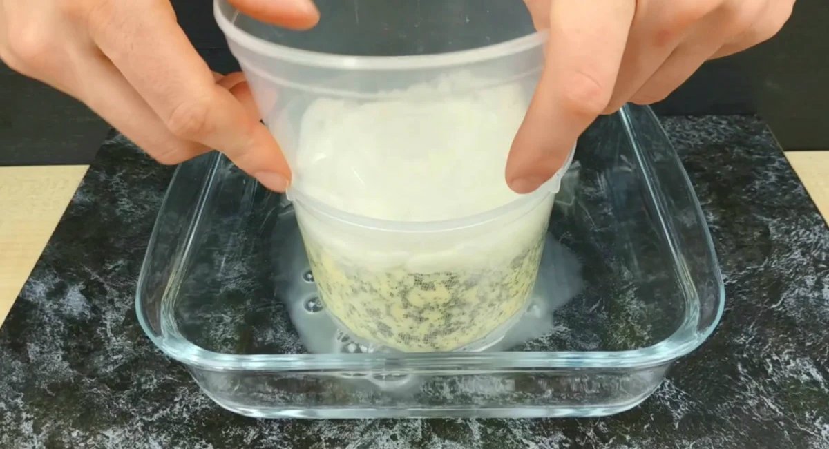 твердый домашний сыр