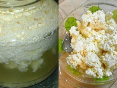 Домашний творог из кефира