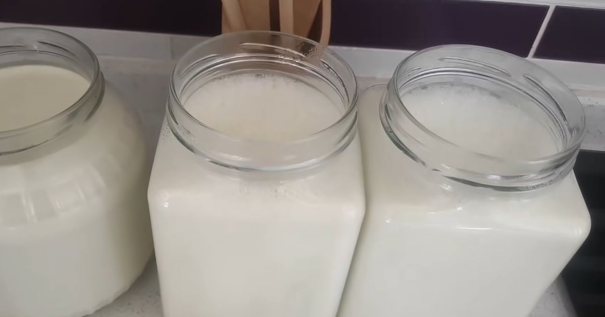 домашний йогурт