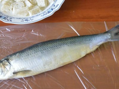 Форшмак из селедки
