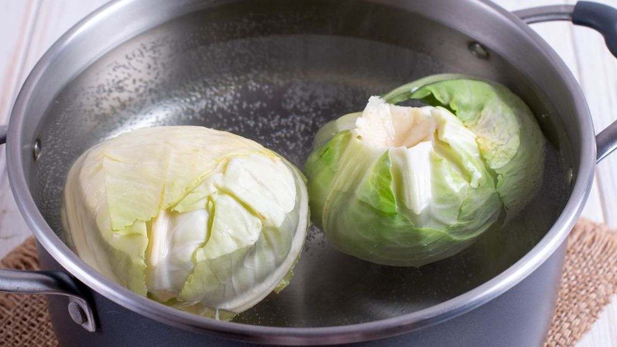 белокочанная капуста