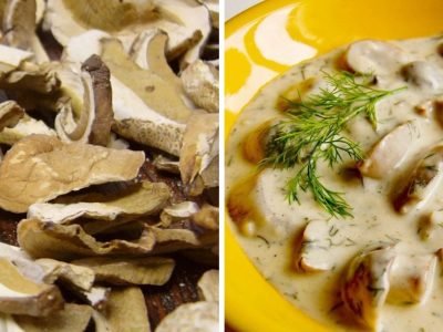 Грибная мачанка: универсальная подлива