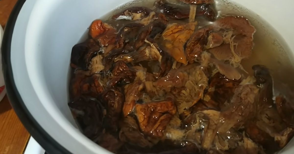 подлива из грибов