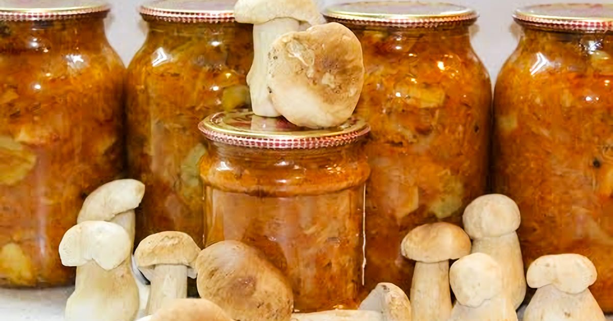 Вкусные грибы на зиму рецепты. Солянка с маслятами. Заготовки из грибов на зиму. Грибы в кулинарии. Грибная солянка на зиму.