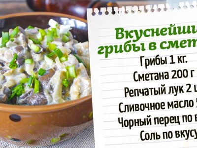 Грибы в сметанном соусе