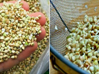 Хумус из зеленой гречки