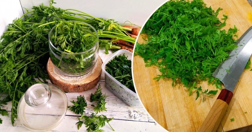 как использовать морковную ботву