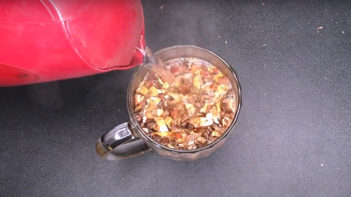 сушеные грибы