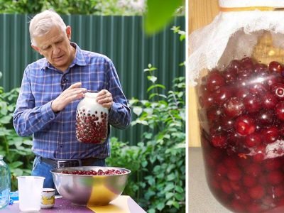 Как приготовить вишневку